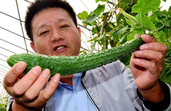 生鮮食材配送為什么大多不能與客戶建立長期合作？